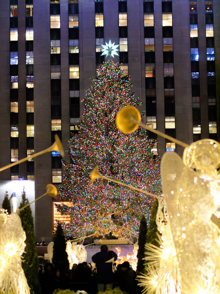 Christmas, New York, holidays, Rockefeller Center Tree, Top of the rock, bergdorf goodman christmas windows, Christmas tree, bittersweet colours, 